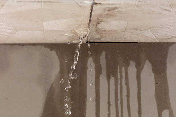 Professional Sewage Cleanup technician working in Roggen, CO